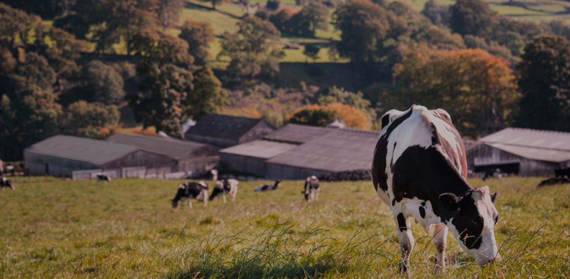 Sustainability Hero V2 1900X930 @300